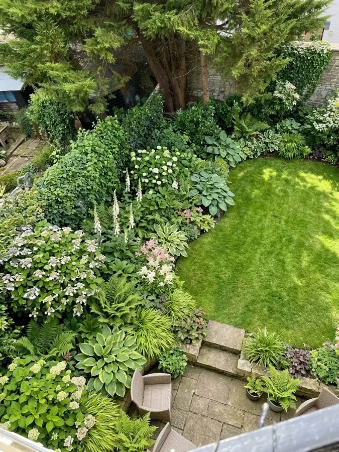 A tangled shady garden seen from upstairs, replanted with hostas, ferns and hydrangeas round a curved lawn, an idea for an overgrown garden